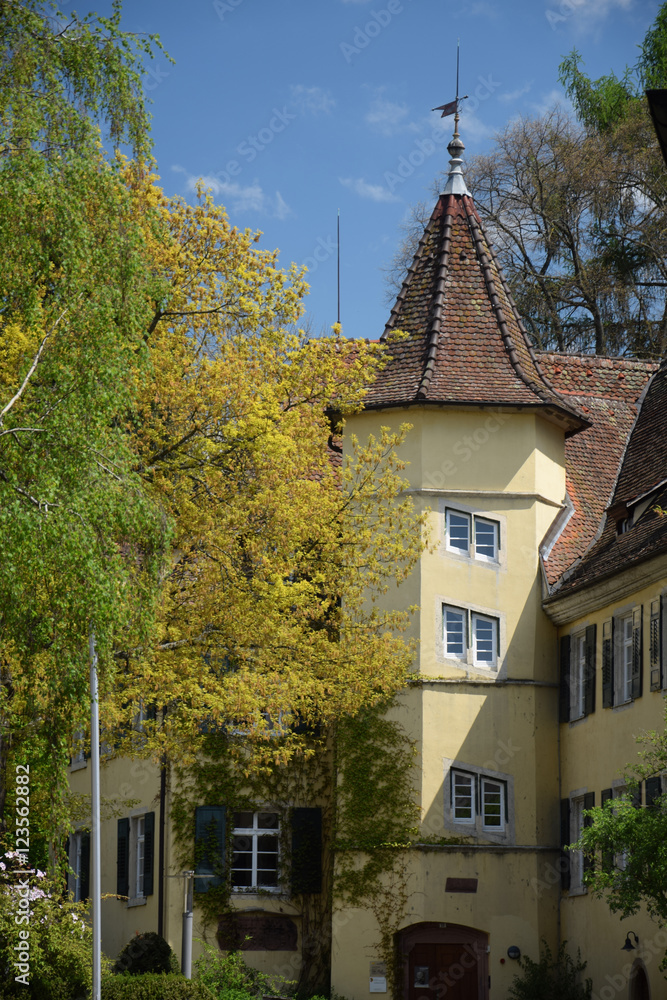 Obraz premium Gebäude in Staufen im Breisgau