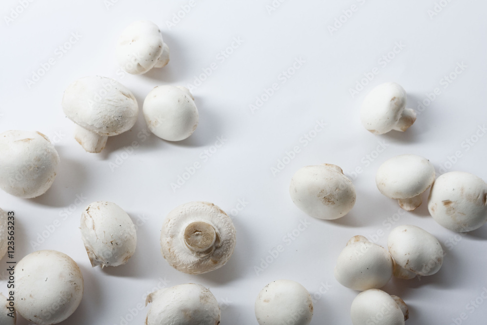 composition with mushrooms composition with mushrooms