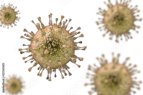 Cytomegalovirus CMV  a DNA virus from Herpesviridae family isolated on white background. 3D illustration. CMV mostly causes diseases in newborns and immunocompromised patients