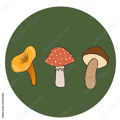 mushrooms set illustration