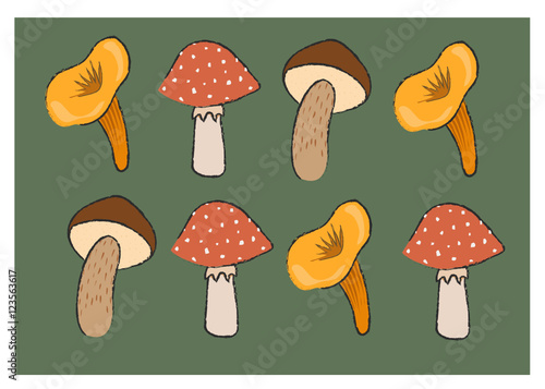 mushrooms set illustration