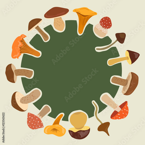 mushrooms set. poster
