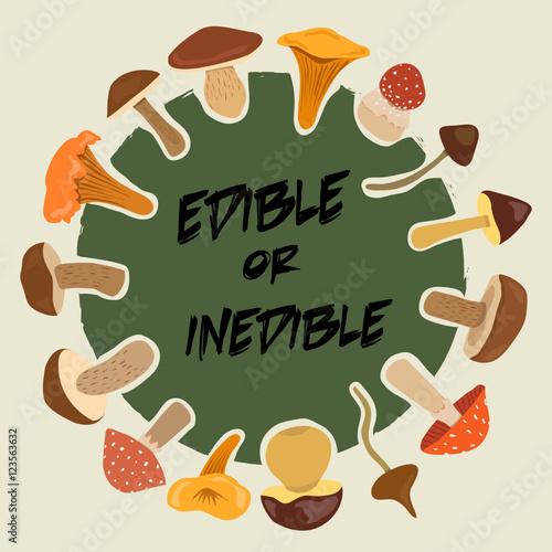 edible and inedible mushrooms. poster