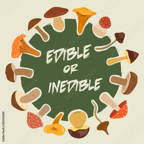 edible and inedible mushrooms. vector poster