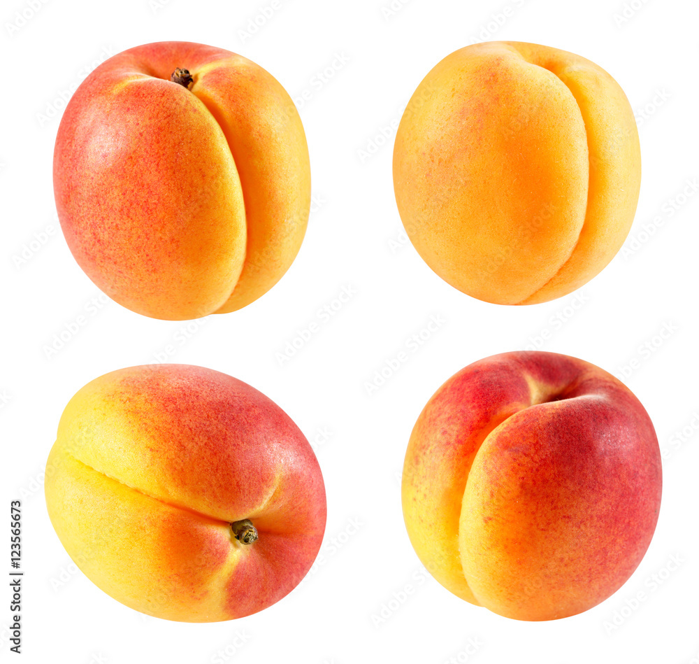 Apricot fruits isolated Apricot fruits isolated