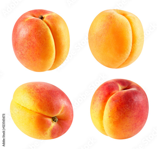Apricot fruits isolated