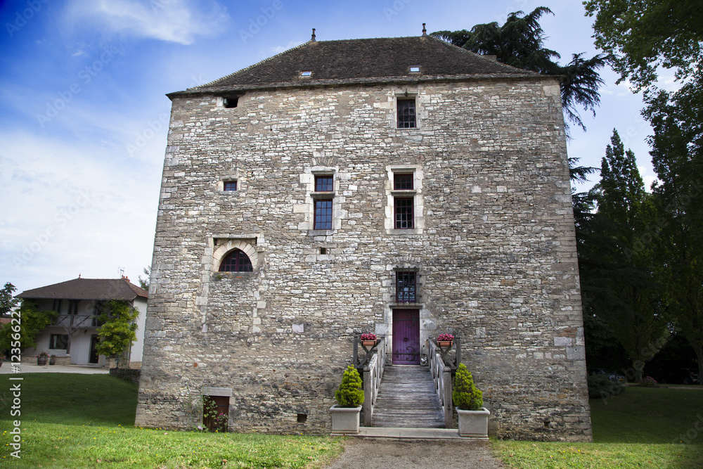 Fototapeta premium Castillo francés