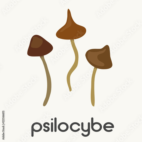 hallucinogenic mushrooms. psilocybe