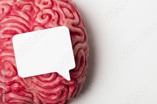 Brain with a speech bubble. creative thinking, brainstorm concept photo