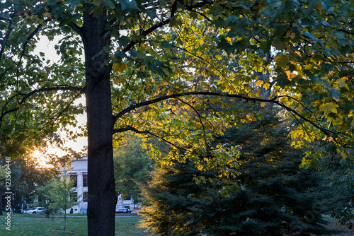 sunset shining on autumn trees in a college campus