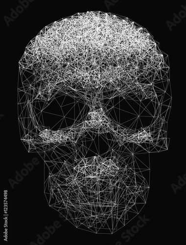 Vector line art. Skull illustration. Polygonal network of thin lines on Black background.