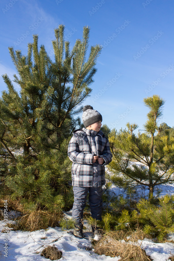 Boy in winter pine forest