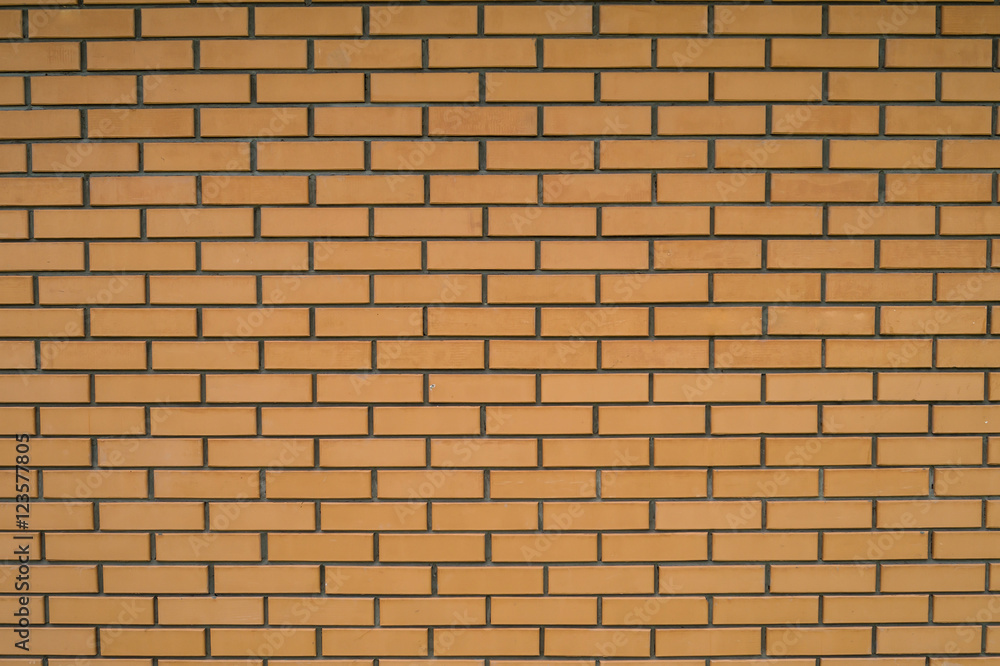 Fototapeta premium Texture brick wall