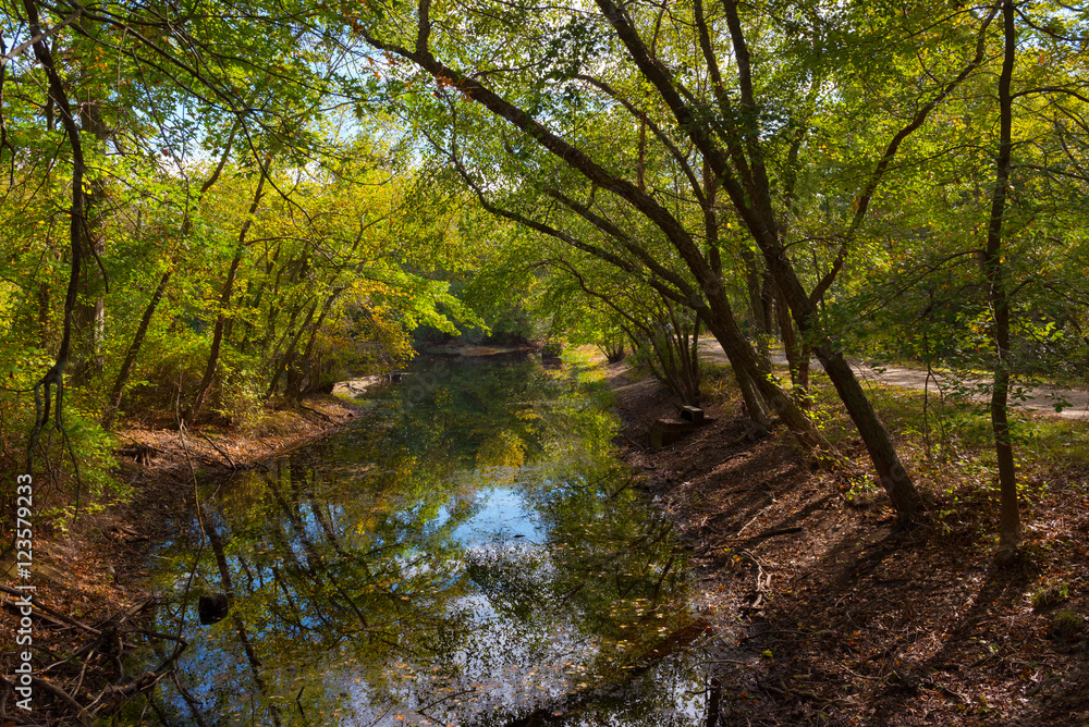 A Stream in the Woods