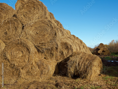 pyramid of hay photo