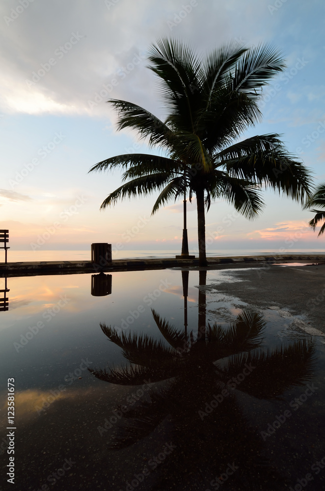 Silhouette of coconut tree near the beach when sun rising