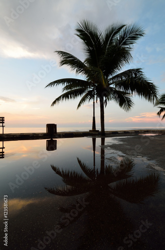 Silhouette of coconut tree near the beach when sun rising