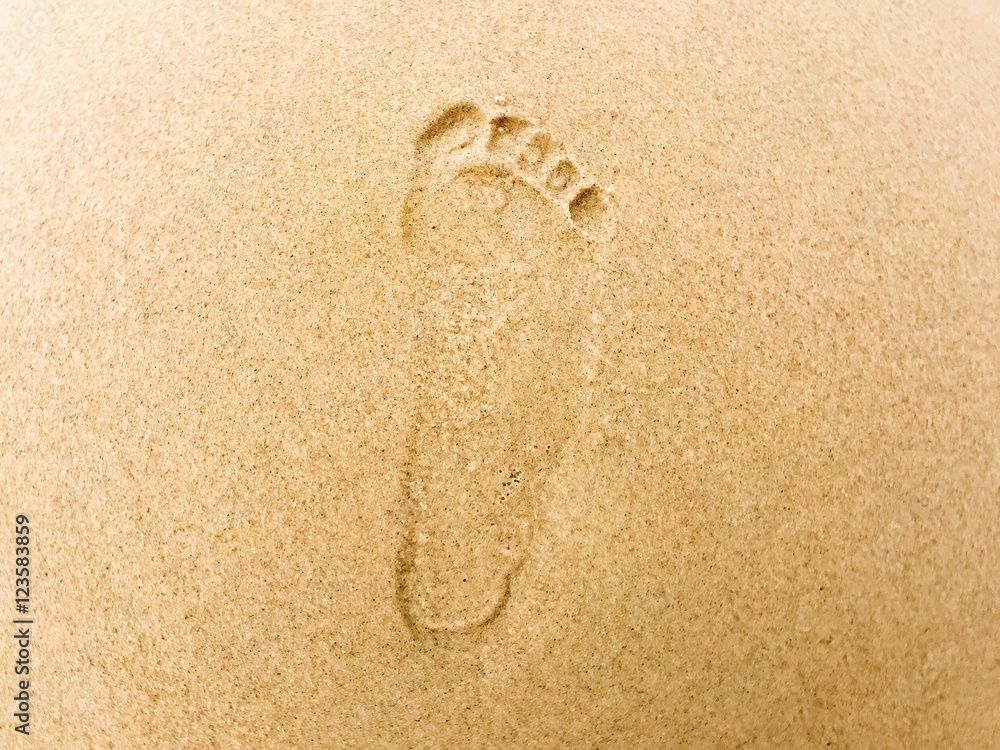 Foot