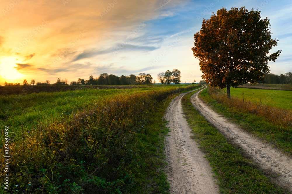 Autumn landscape with country road and red tree. Masuria, Poland. Autumn landscape with country road and red tree. Masuria, Poland.
