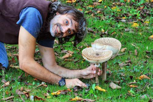 mushroom macrolepiota procera photo