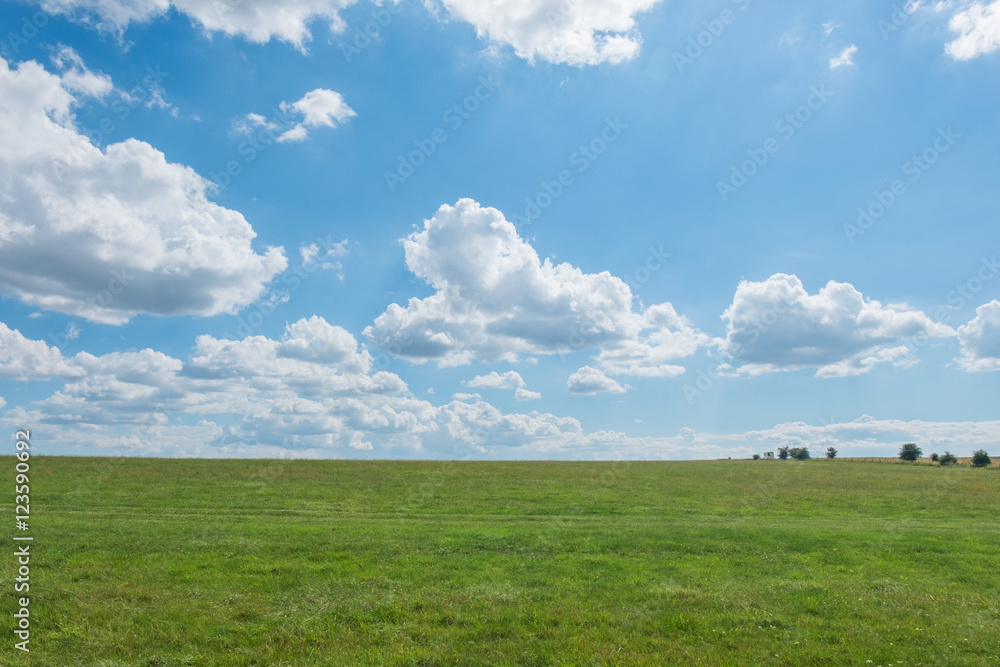 grass field with blue sky. rural landscape