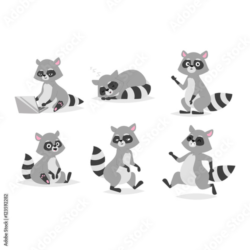 Cartoon raccoon vector illustration.