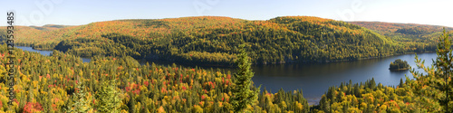 Fall Foliage along Lake Wapizagonke 
