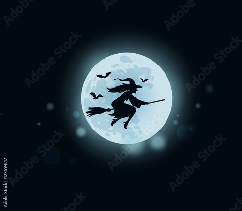Fotografie, Tablou Old witch flying on broomstick at midnight. Vector illustration