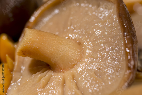 Bild auf Leinwand Close-up of delicious boiled mushroom. Gourmet food