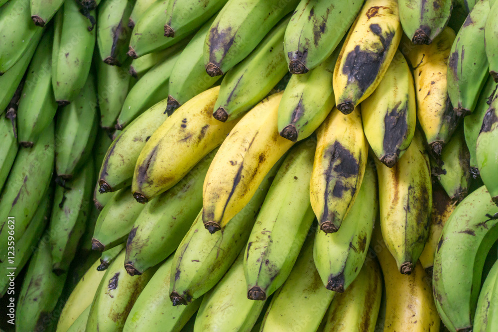 banana group from organic farm