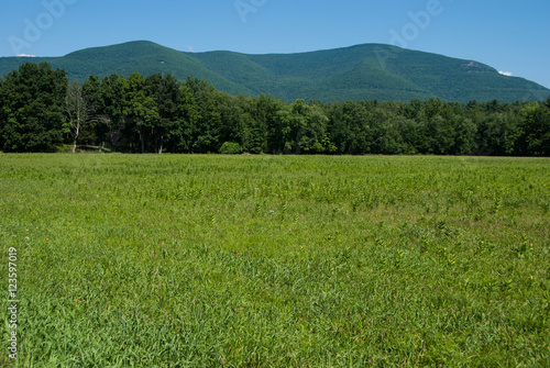 Zena Cornfield with Overlook Mountain in the Background photo