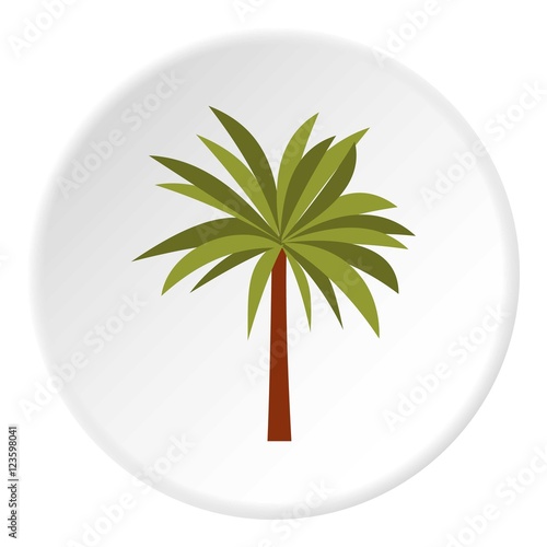 Palma icon. Flat illustration of palma vector icon for web