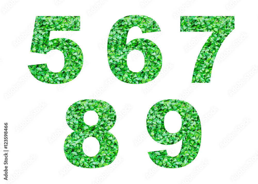 Numbers 5,6,7,8,9 of green grass isolated on white. Numbers 5,6,7,8,9 of green grass isolated on white.