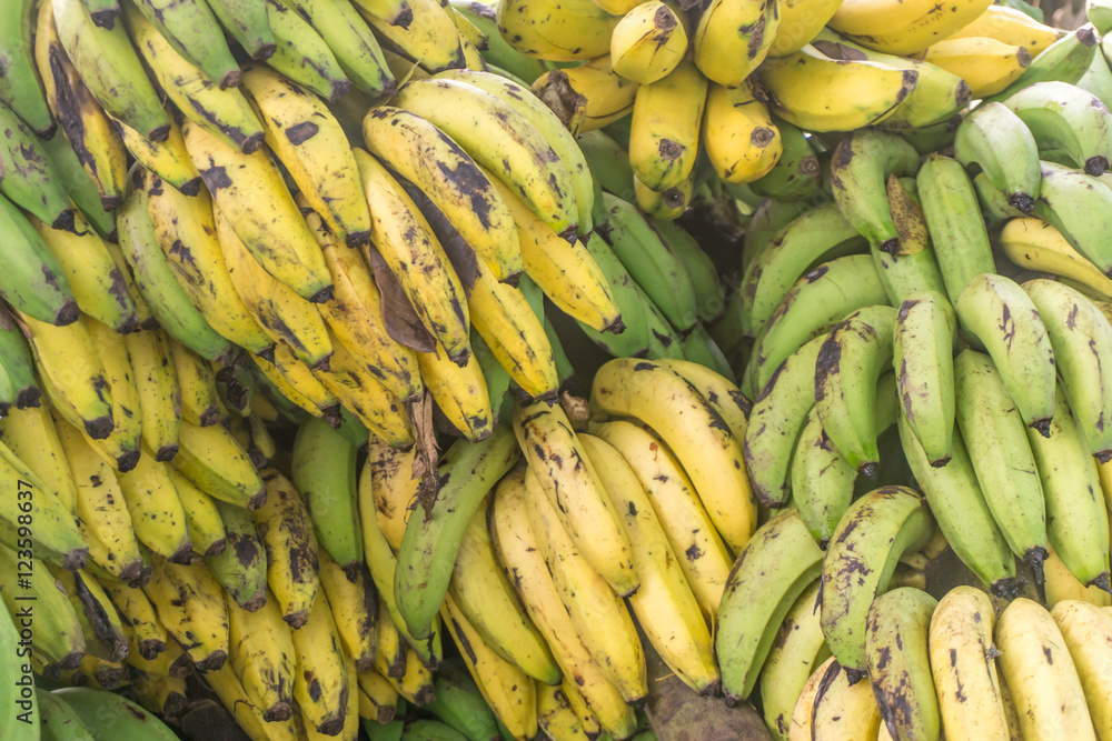 organic banana group