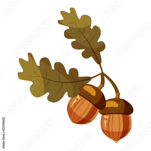 Acorn icon. Cartoon illustration of acorn vector icon for web