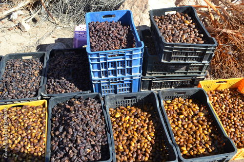 Moroccan Dates