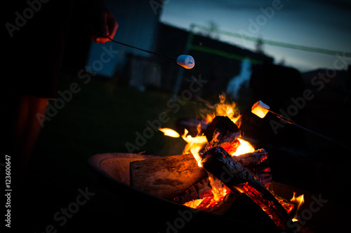 Backyard Campfire