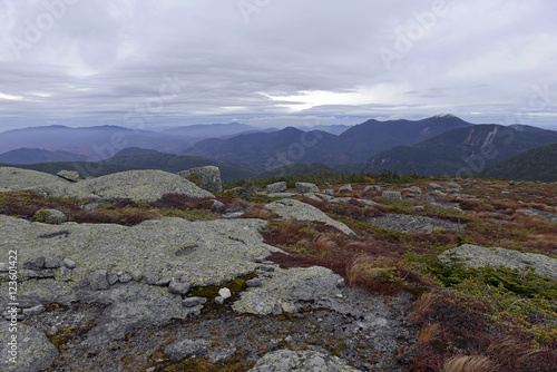 The Alpine subarctic zone in Autumn colors on the summit of an Adirondack 46er in upstate New York