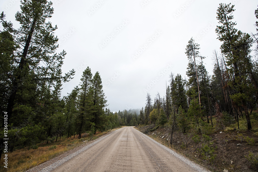 Fototapeta premium dirt road in the country