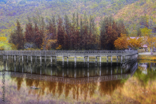 Beautiful scenery of park with colorful trees and water reflection. Attractions and recreation Concept photo