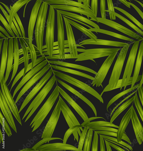 palm leaf pattern