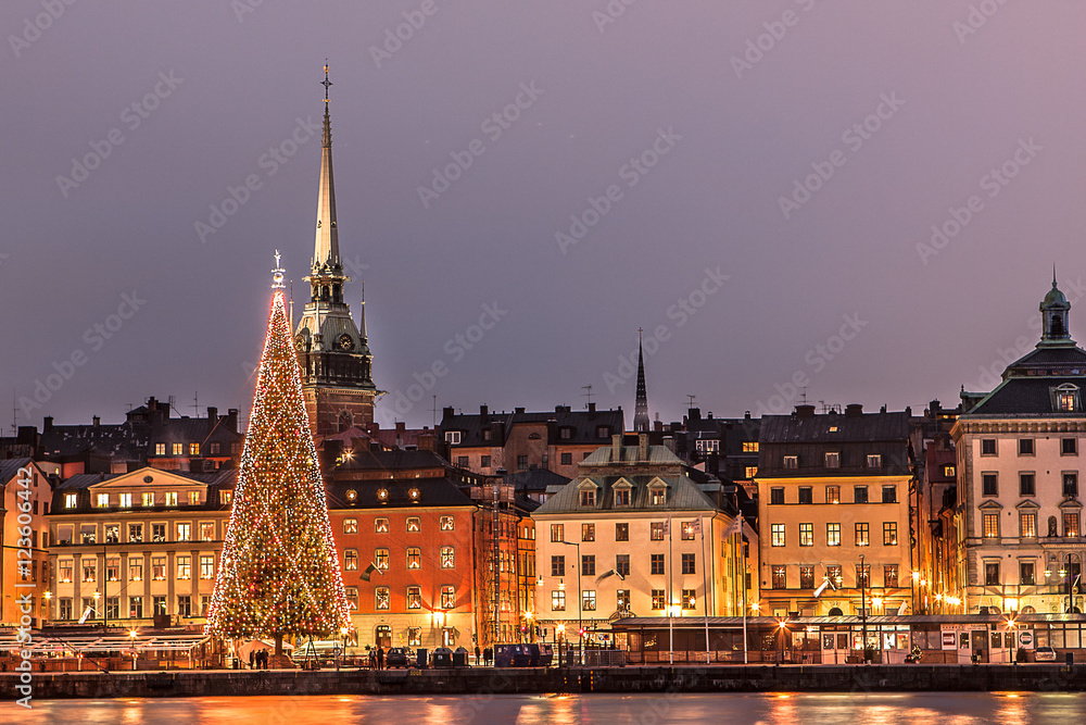 Fototapeta premium Christmas in Stockholm