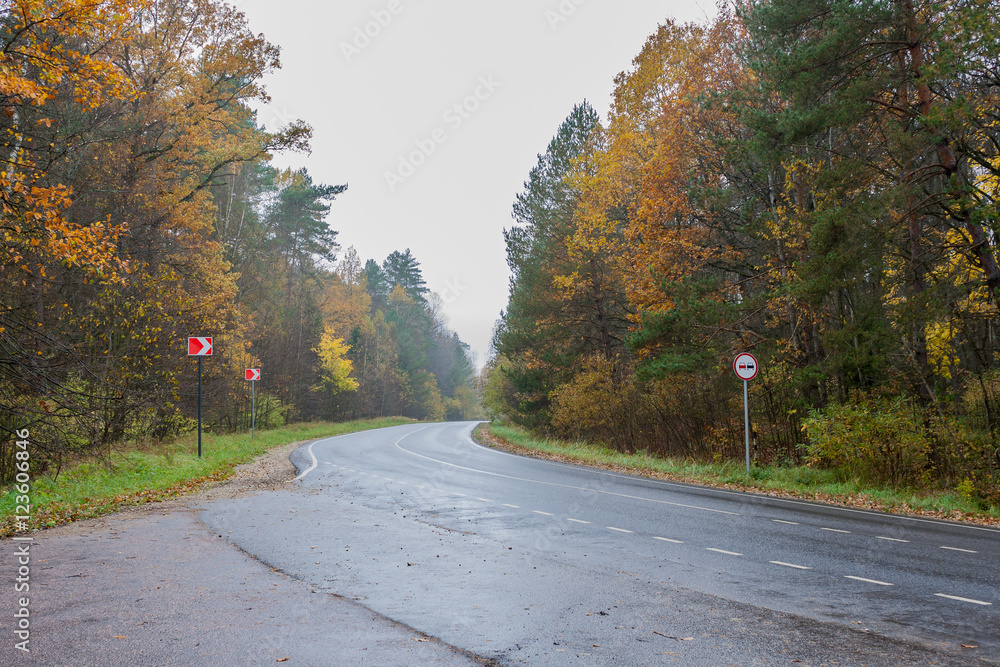 The asphalt forest road in rainy autumn day