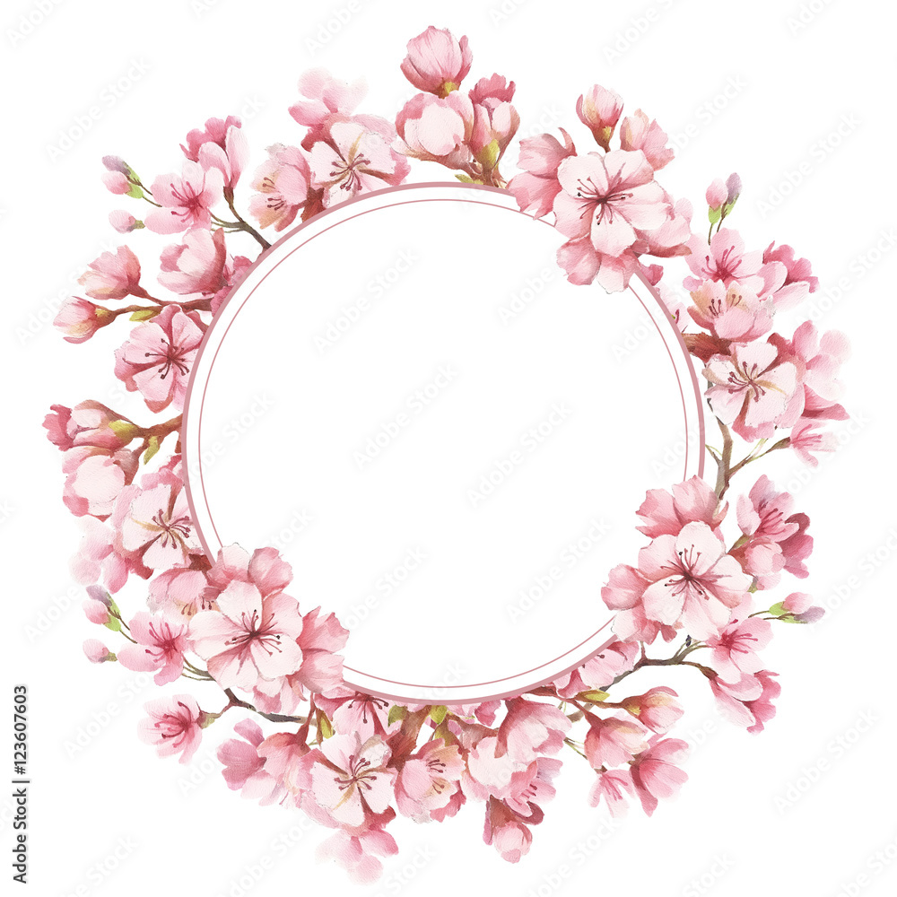 Fototapeta premium Frame with the cherry blossoms. Watercolor illustration.