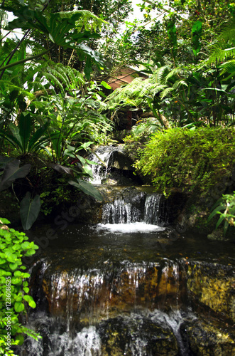 Man-made waterfall  surrounded by lush foliage in a landscaped garden