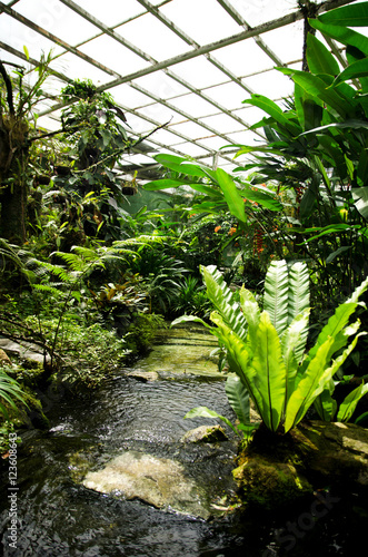 man made nature look park garden with tropical look nature forest