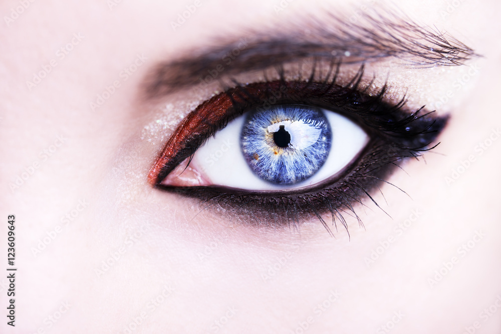 Obraz premium Eye Makeup. Beautiful Eyes Glitter Make-up. Holiday Makeup detail