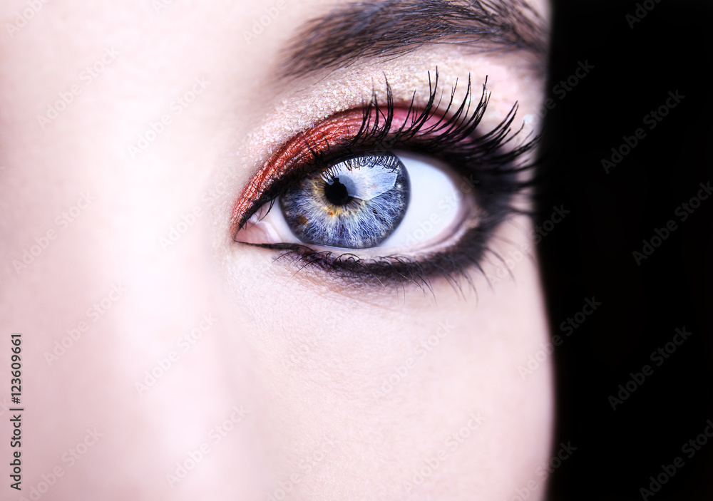Eye Makeup. Beautiful Eyes Glitter Make-up. Holiday Makeup detail Eye Makeup. Beautiful Eyes Glitter Make-up. Holiday Makeup detail