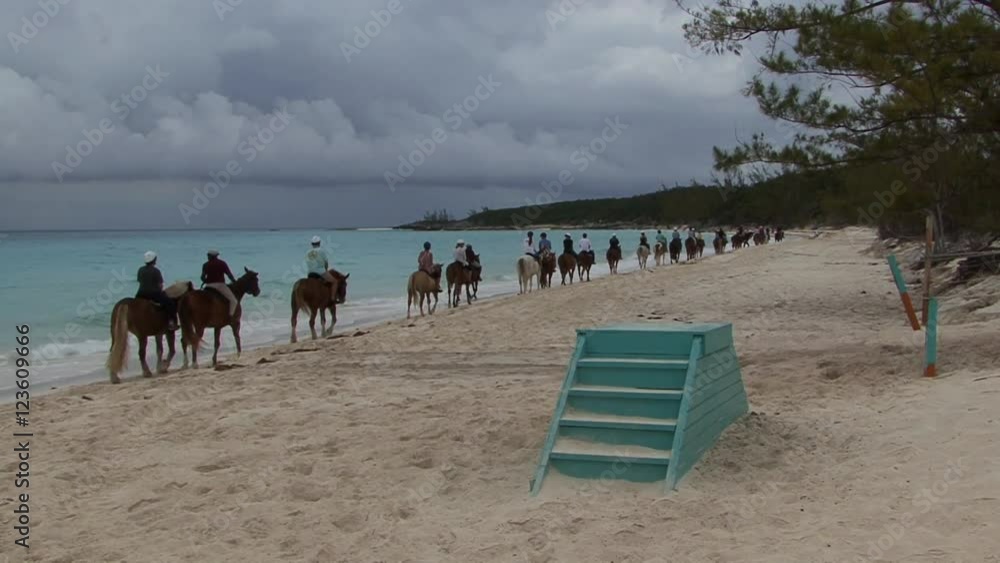 Horses on the tropical beach and sea Horses on the tropical beach and sea