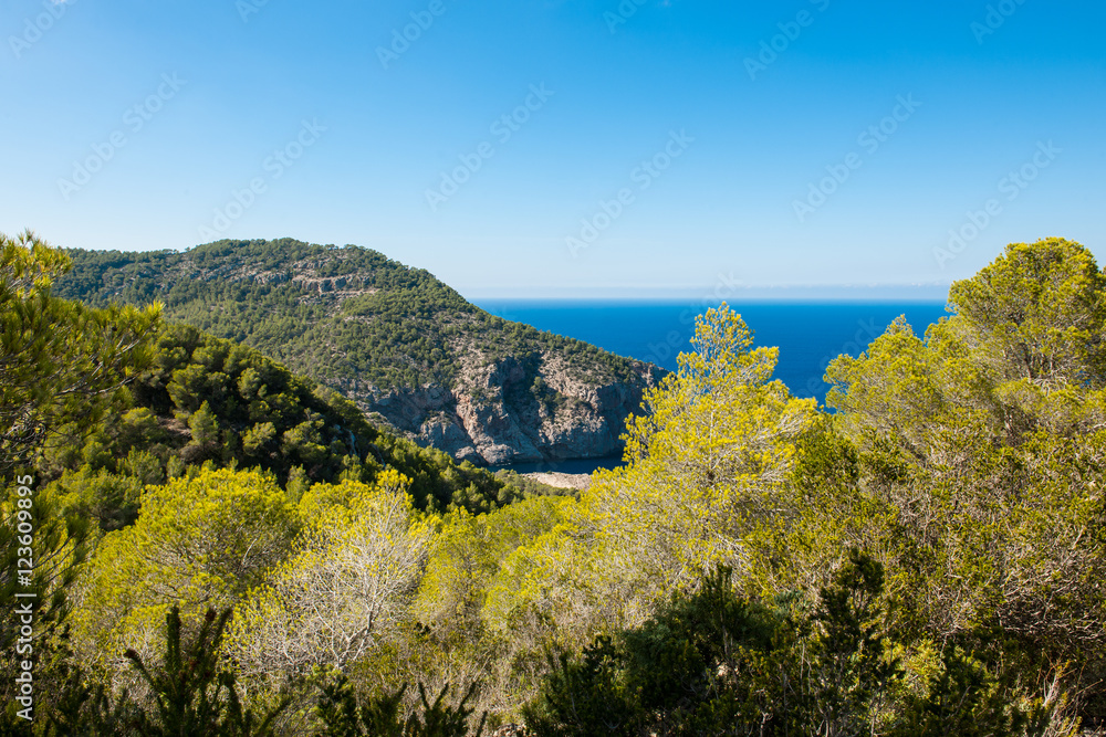 Naklejka premium View from a cliff
